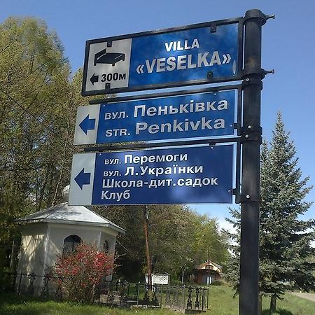 Villa Veselka Staryye Kuty Exterior foto